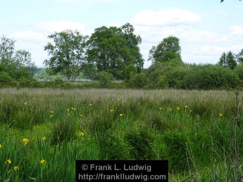 Lough Arrow